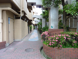 �ӂ��݁[��Z�V�]