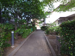 �t�@�~���[�g�[�N�V�k��