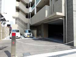 �����v���U���