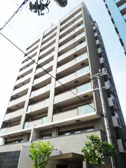 �����v���U���