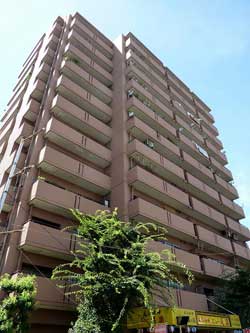 GS�n�C���Z�g����