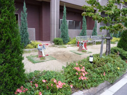 �O�����A�b�V���Z�V�]