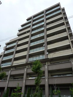 �O�����A�b�V���Z�V�]