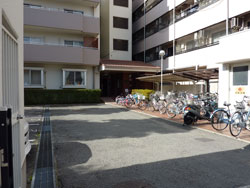 �n�C���Z�V�]