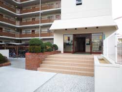 �n�C�c�݂ǂ��