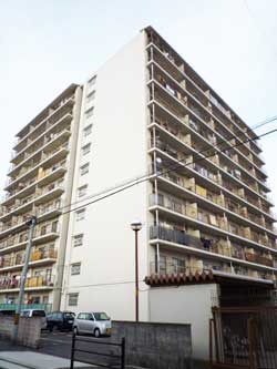 �n�C�c�݂ǂ��