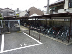 �A�W���[�����l