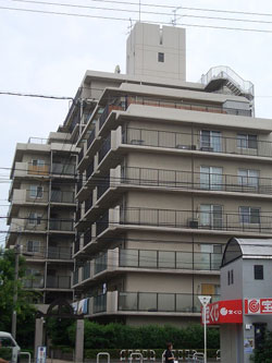 ���l�O���[���n�C�c