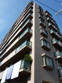 ���l�K�[�f���n�E�X