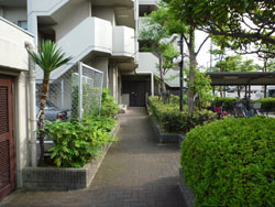 �R�X���X�n�C���Z�V�]