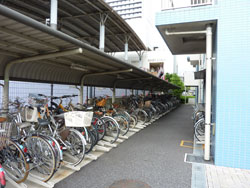 �}�W�F�X�Z�V�]����