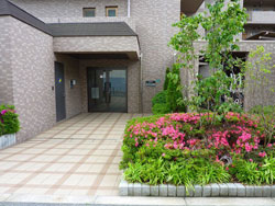 ���C�c�Z�V�]����