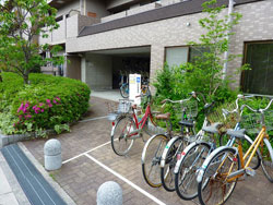 ���C�c�Z�V�]����