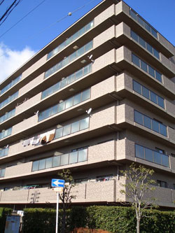 ���C�c�Z�V�]����