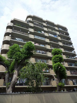 ���]���h�[���Z�g����