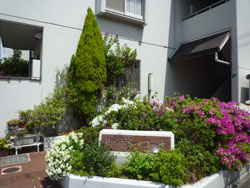 �����R�[�|