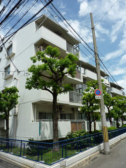 �����R�[�|