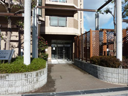 �l�I�n�C�c�k���ꉮ