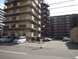 �l�I�R�[�|�k���ꉮ