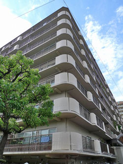 �l�I�R�[�|�k���ꉮ