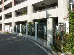 �l�o�[�����h�Z�g����