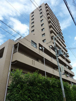 �l�o�[�����h�Z�V�]����