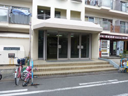 �j���[�k���ꉮ�}���V����