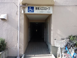 �j���[�k���ꉮ�}���V����