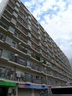 �j���[�k���ꉮ�}���V����