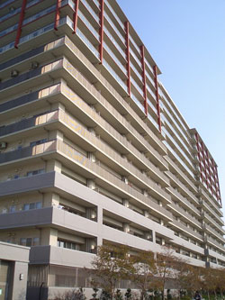 �p�[�N�V�e�B���T�E�X�K�[�f���Y�R�[�g