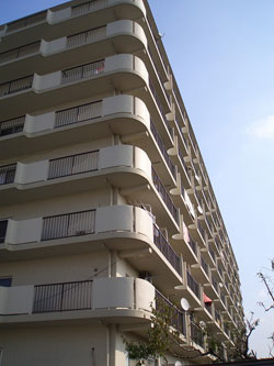 �p���X�Z�V�]����