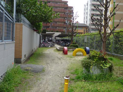 ���W�I���Z�V�]����