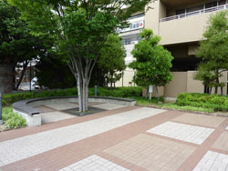 ���s�A�Z�V�]