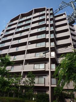 ���b�N�X�}���V�����Z�V�]����