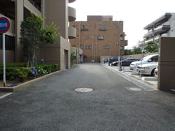 ���C�I���Y�}���V�����Z�V�]