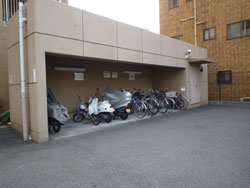 ���C�I���Y�}���V�����Z�V�]