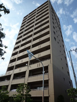 ���C�I���Y�}���V�����Z�V�]