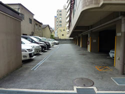 ���C�I���Y�}���V�����Z�V�]����