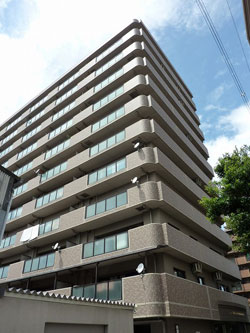 ���C�I���Y�}���V�����Z�V�]����