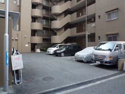 ���C�I���Y�}���V�����Z�g����