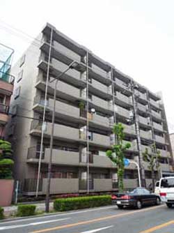 ���C�I���Y�}���V�����Z�g����