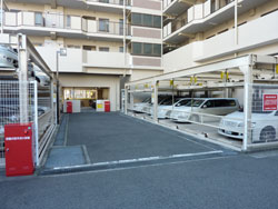 �����������ꉮ