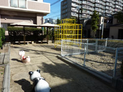 �����������ꉮ