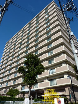 �����������ꉮ