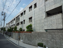 ���i�s�G�[�i�[�l����