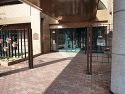 ���l�u���C�g�K�[�f��