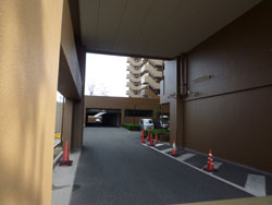 ���l�u���C�g�K�[�f��