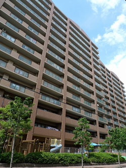 ���l�u���C�g�K�[�f��