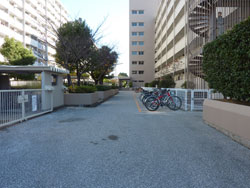 �Z�g��2�c�n10����