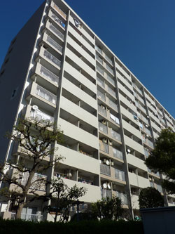 �V�k���R�[�|